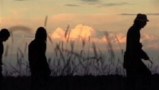 Folklore's Intimates (2015) - Stream Online