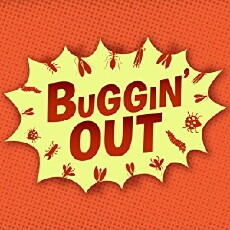 Buggin' Out (2016) - Stream Online