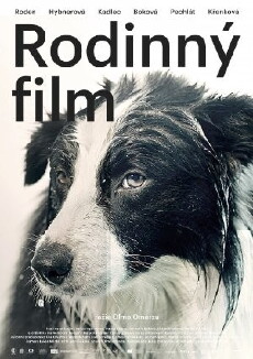Family Film (2015) - Stream Online