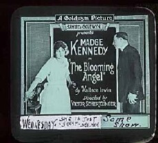 The Blooming Angel (1920) - Stream Online