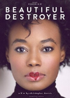 Beautiful Destroyer (2015) - Stream Online