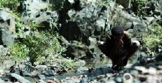 Azul Magia (2017) - Stream Online