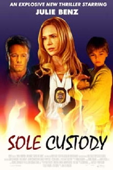 Sole Custody (2014) - Stream Online