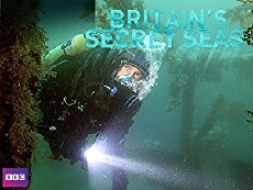Britain's Secret Seas (2011) - Stream Online