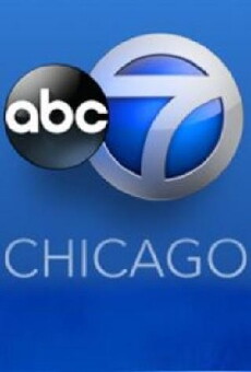 ABC 7 Chicago (1948) - Stream Online