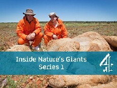 Inside Nature's Giants (2009) - Stream Online
