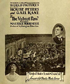 The Velvet Paw (1916) - Stream Online