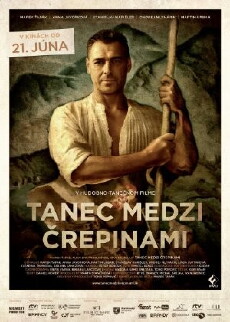 Tanec medzi crepinami (2012) - Stream Online