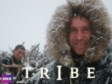 Going Tribal (2005) - Stream Online