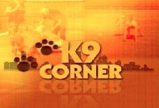 K9 Corner (2010) - Stream Online