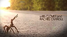 Down the Road (2011) - Stream Online