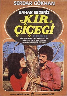 Kir Çiçegi (1974) - Stream Online