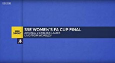 Women's FA Cup Final (2013) - Stream Online
