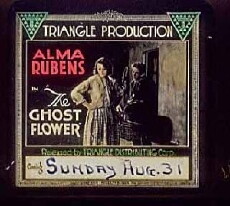 The Ghost Flower (1918) - Stream Online
