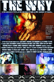 The Why (2009) - Stream Online