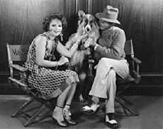 Ladies of the Mob (1928) - Stream Online