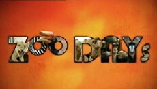 Zoo Days (2007) - Stream Online