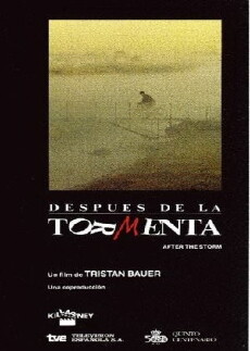 After the Storm (1990) - Stream Online