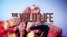 The Wild Life with Jeremy (2010) - Stream Online