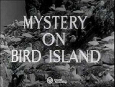 Mystery on Bird Island (1954) - Stream Online