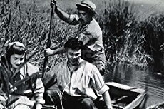 Il nido di falasco (1950) - Stream Online