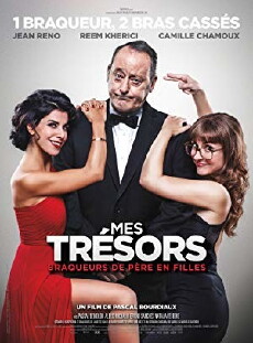 Der Meisterdieb und seine Schätze (2017) - Stream Online
