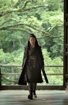 The Assassin (2015) - Stream Online