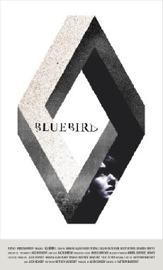 Bluebird (2015) - Stream Online