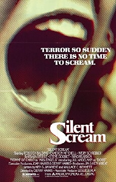 The Silent Scream (1979) - Stream Online