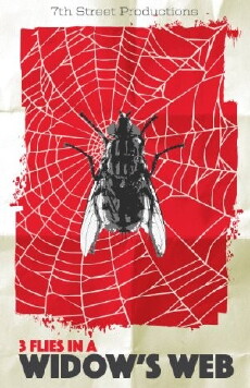 3 Flies in a Widow's Web (2016) - Stream Online