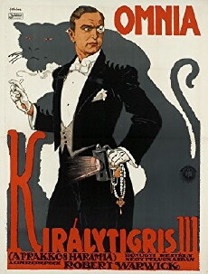 The Flash of an Emerald (1915) - Stream Online
