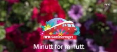 Sommertoget minutt for minutt (2017) - Stream Online