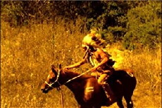 Buffalo Hearts (2007) - Stream Online