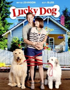 Lucky Dog (2014) - Stream Online