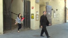 Il Professore (2012) - Stream Online