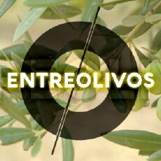 Entreolivos (2017) - Stream Online