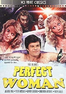 The Perfect Woman (1981) - Stream Online