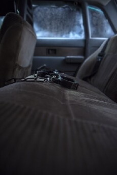 La jauría (2019) - Stream Online