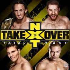WWE NXT Takeover: Fatal 4 Way (2014) - Stream Online