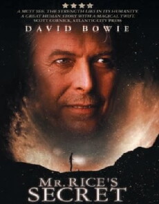 Das Geheimnis des Mr Rice (1999) - Stream Online