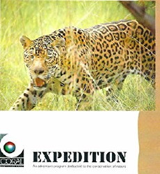Expedición: Jaguar, Dios y Demonio (1993) - Stream Online