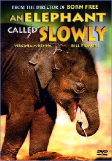 An Elephant Called Slowly (1970) - Stream Online