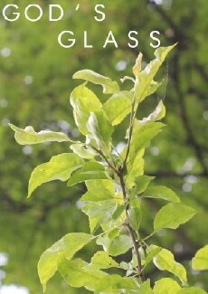 God's Glass (2016) - Stream Online
