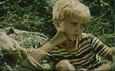 Një gjeneral kapet rob (1980) - Stream Online