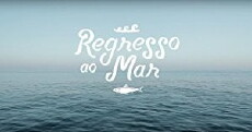 Regresso Ao Mar (2016) - Stream Online
