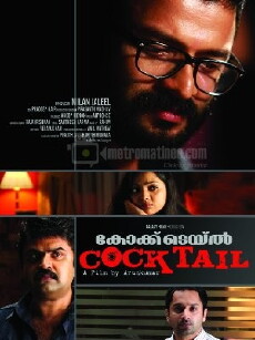 Cocktail (2010) - Stream Online