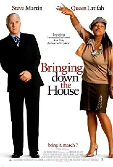 Bringing Down the House (2003) - Stream Online