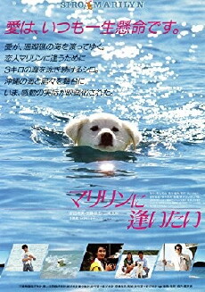 Marilyn ni aitai (1988) - Stream Online