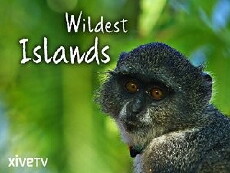 Wildest Islands (2012) - Stream Online