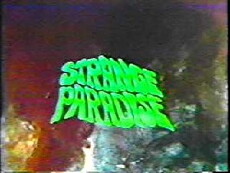 Strange Paradise (1969) - Stream Online